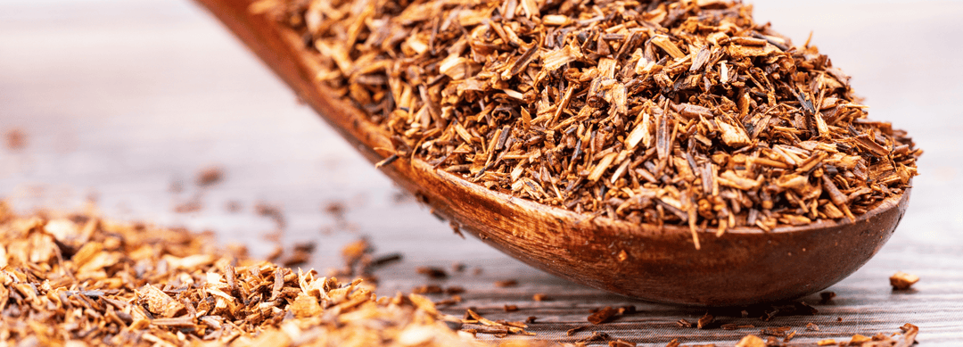 Bio Rotbusch (Rooibos)