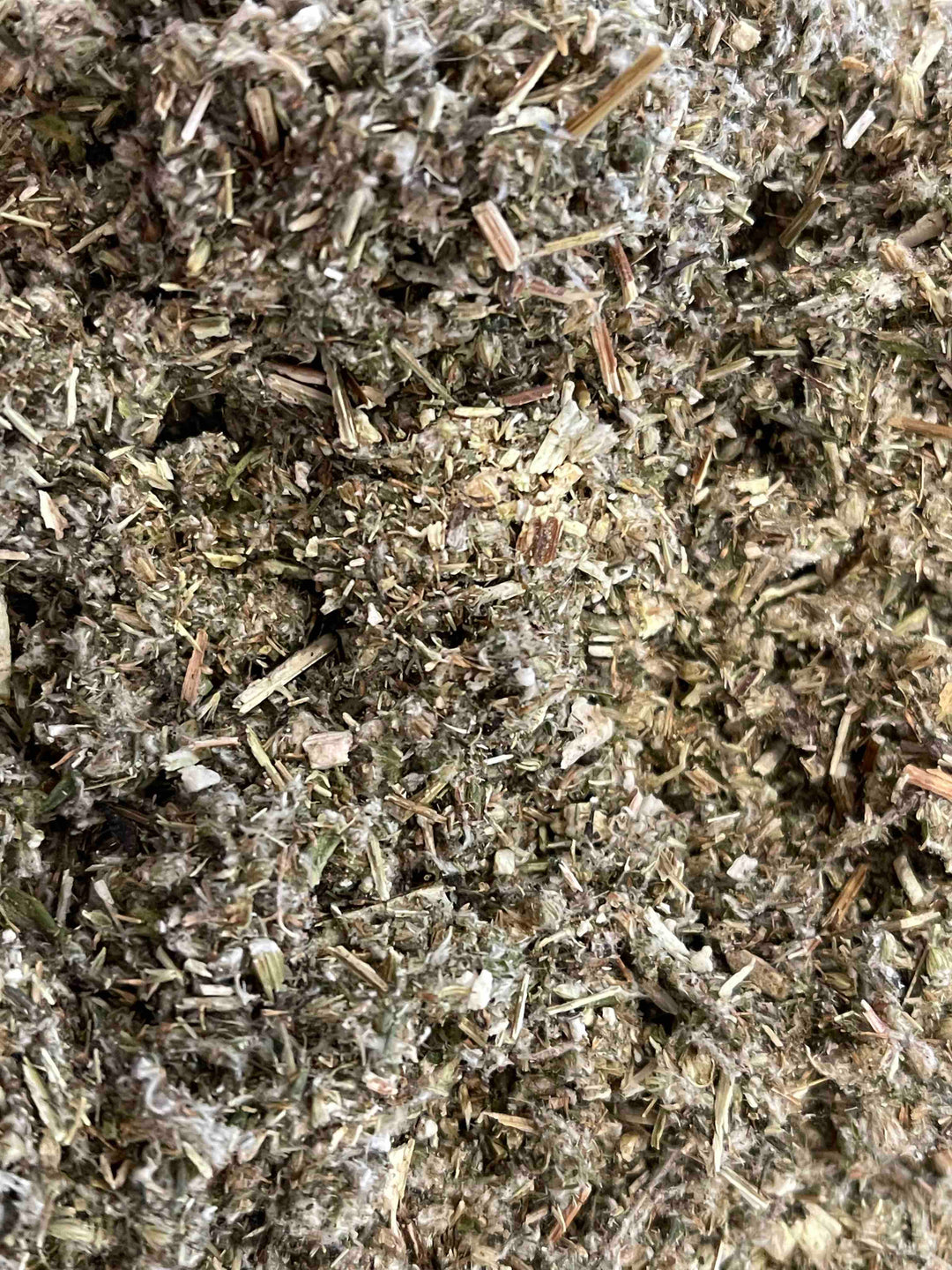 Lose Kräuter Beifusskraut geschnitten BIO