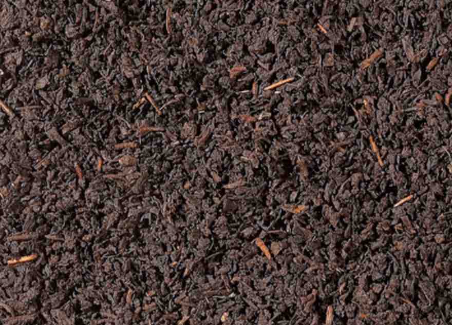 Black tea Ceylon- Ahinsa ORGANIC