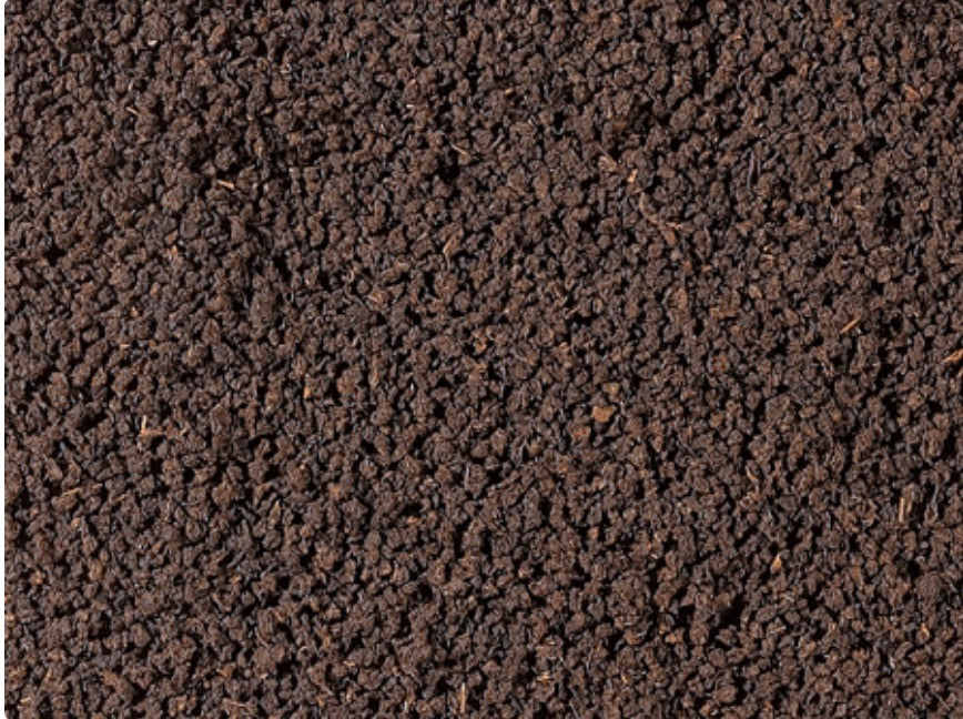 Schwarztee Mosambik Monte Metilile BIO