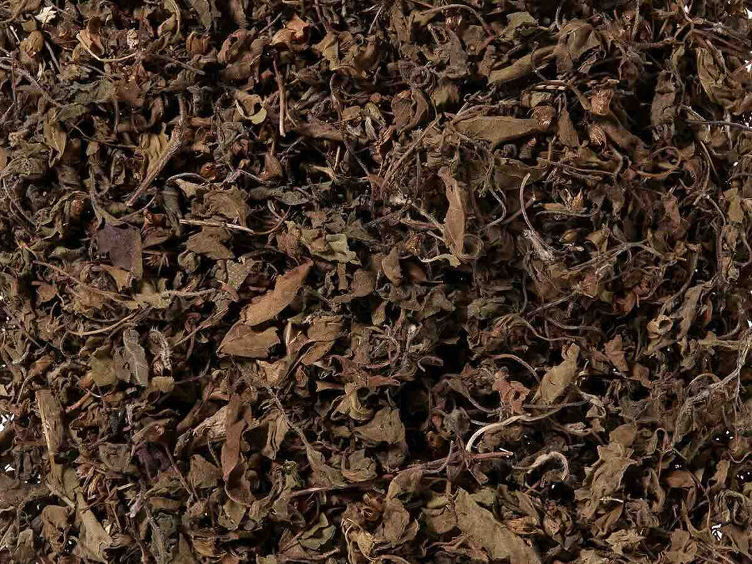 Tulsi BIO