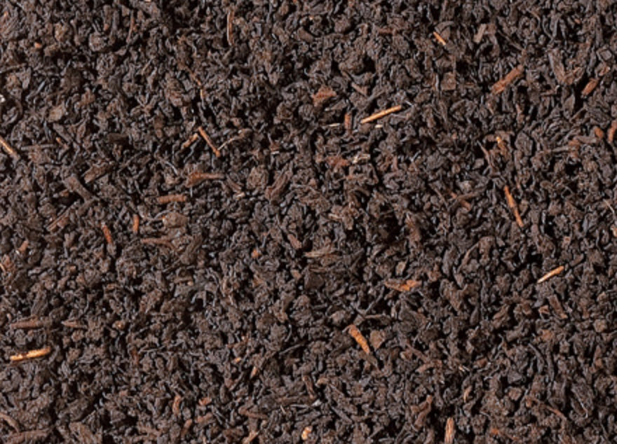 Schwarztee Ceylon Aislaby