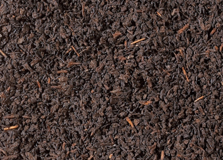 Schwarztee Ceylon Aislaby