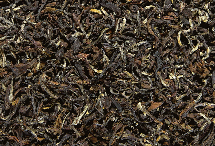 Oolong Butterfly of Taiwan