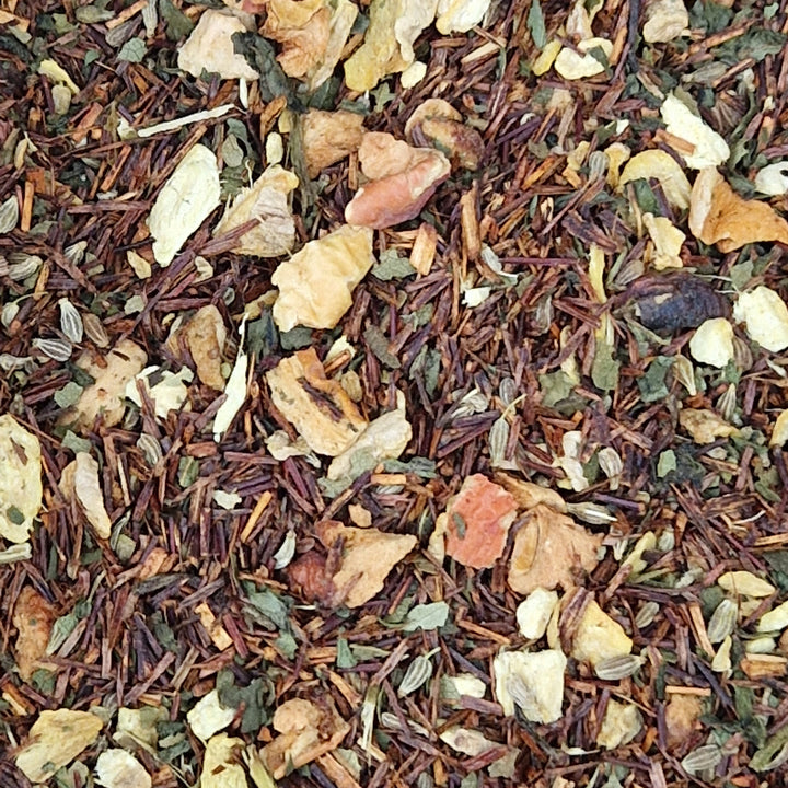 Rotbusch Minze Ingwer BIO