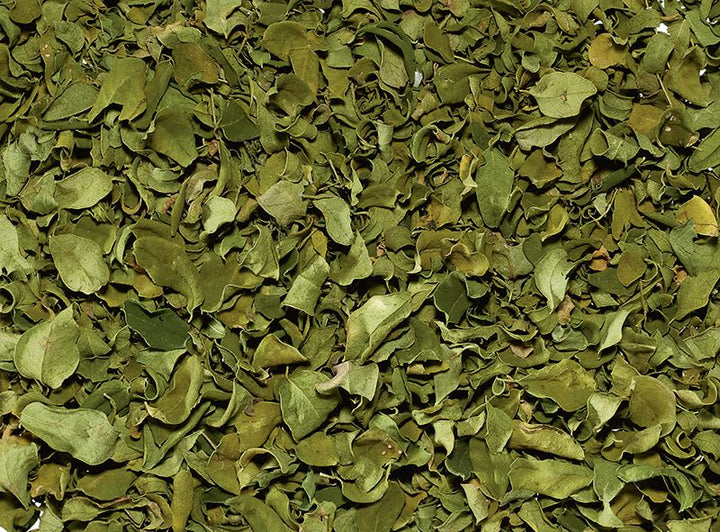 Herbes en vrac Moringa BIO