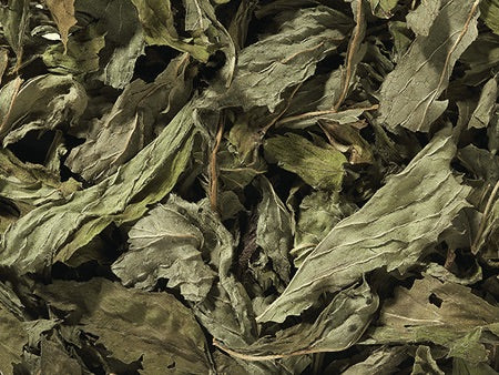 Lose Kräuter Pfefferminze geschnitten BIO
