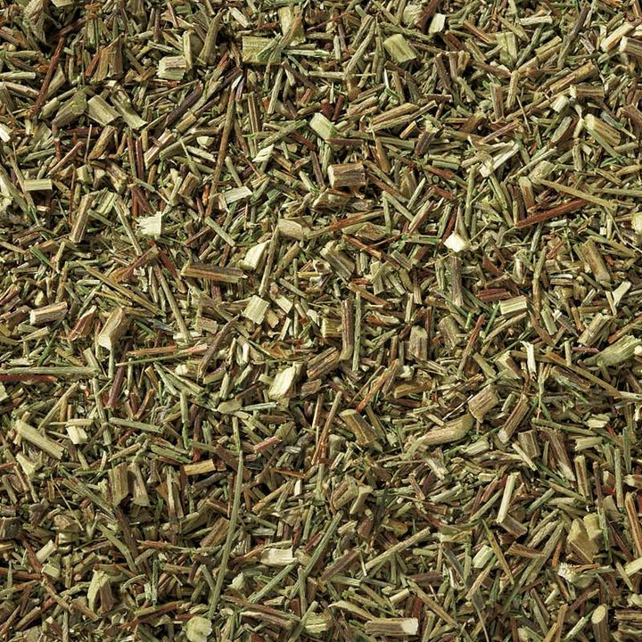 grüner Rotbusch BIO
