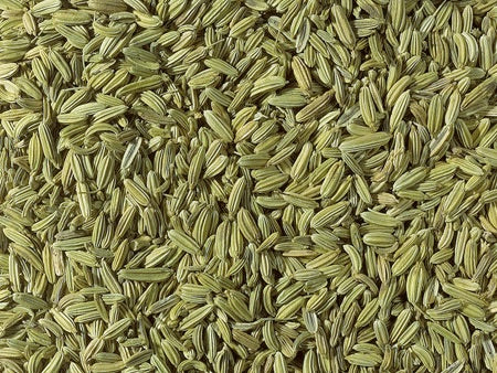 Lose Kräuter Fenchel