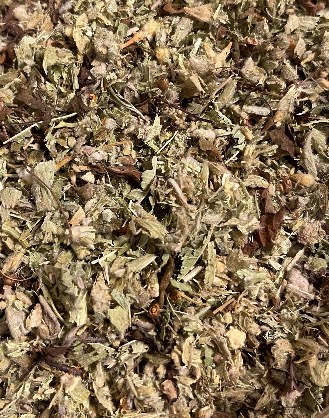 Kräutertee Gedächnis Tee BIO