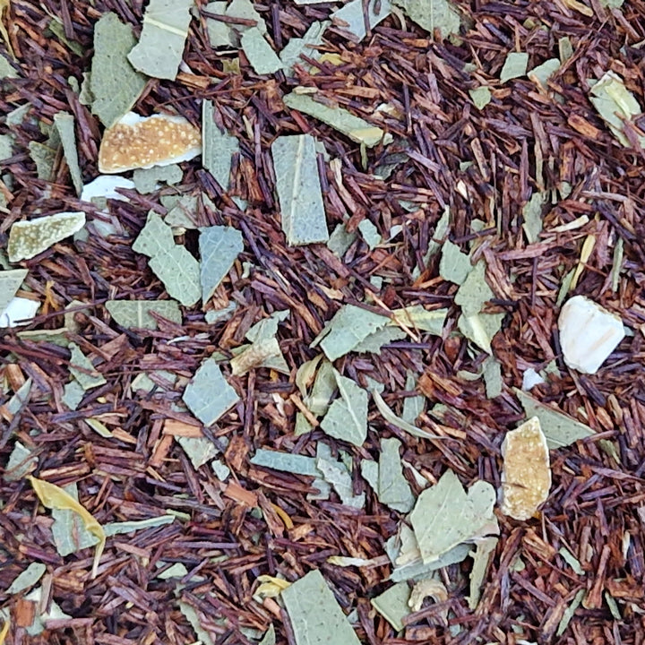 Rotbusch Eukalyptus und Orange