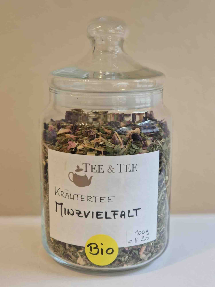 Variété de menthe